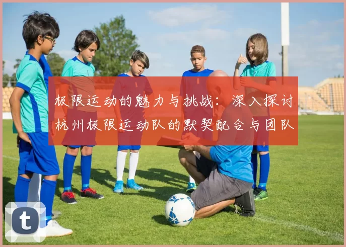 极限运动的魅力与挑战：深入探讨杭州极限运动队的默契配合与团队精神