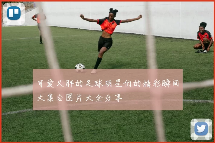 可爱又胖的足球明星们的精彩瞬间大集合图片大全分享