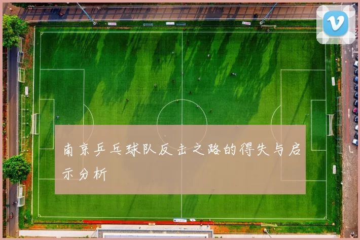 南京乒乓球队反击之路的得失与启示分析