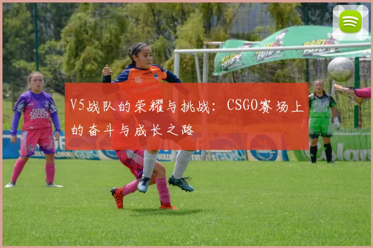V5战队的荣耀与挑战：CSGO赛场上的奋斗与成长之路