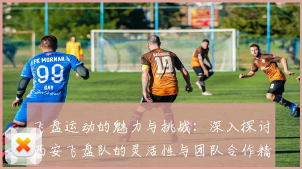 飞盘运动的魅力与挑战：深入探讨西安飞盘队的灵活性与团队合作精神