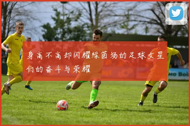 身高不高却闪耀绿茵场的足球女星们的奋斗与荣耀