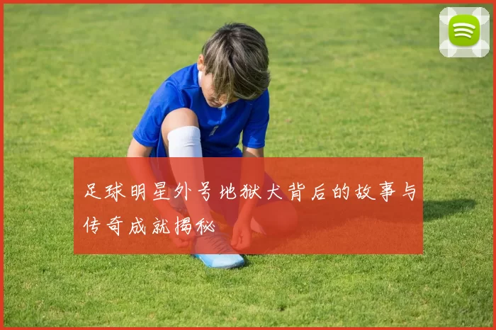 足球明星外号地狱犬背后的故事与传奇成就揭秘