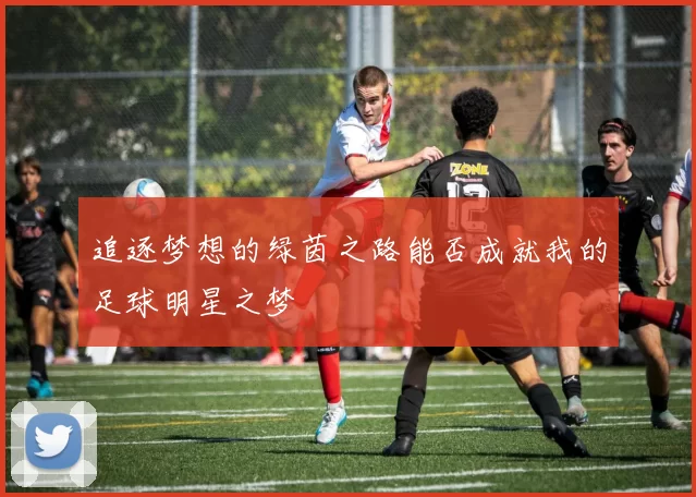 追逐梦想的绿茵之路能否成就我的足球明星之梦