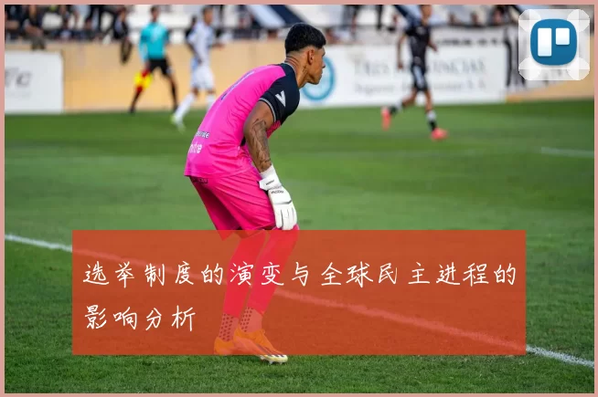 选举制度的演变与全球民主进程的影响分析