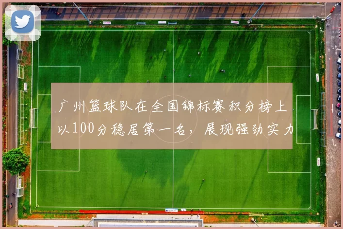 广州篮球队在全国锦标赛积分榜上以100分稳居第一名，展现强劲实力