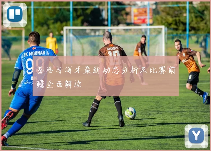 芬洛与海牙最新动态分析及比赛前瞻全面解读