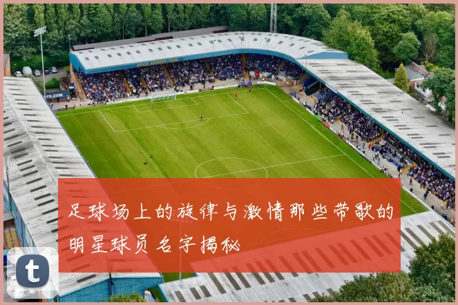 足球场上的旋律与激情那些带歌的明星球员名字揭秘