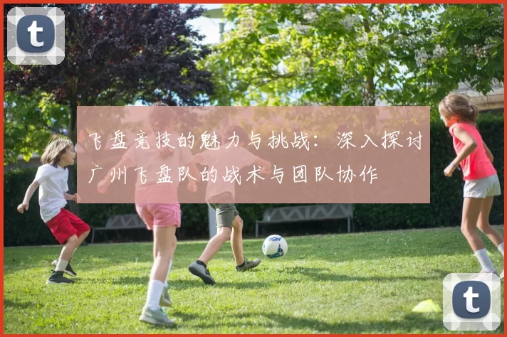 飞盘竞技的魅力与挑战：深入探讨广州飞盘队的战术与团队协作