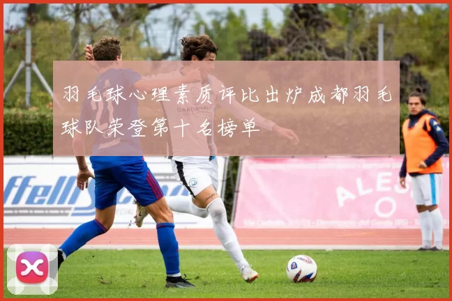 羽毛球心理素质评比出炉成都羽毛球队荣登第十名榜单