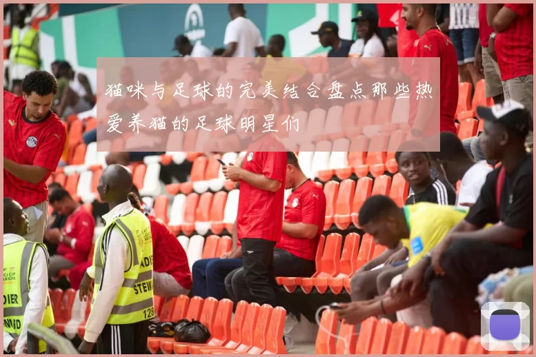 猫咪与足球的完美结合盘点那些热爱养猫的足球明星们