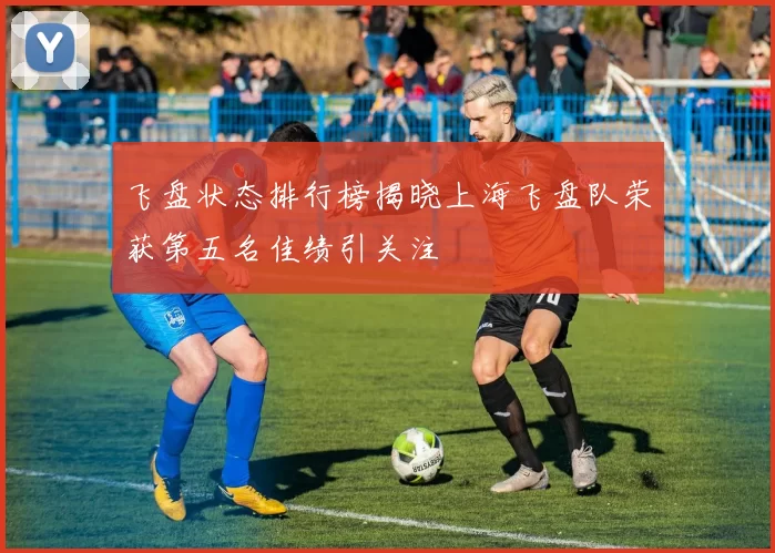 飞盘状态排行榜揭晓上海飞盘队荣获第五名佳绩引关注