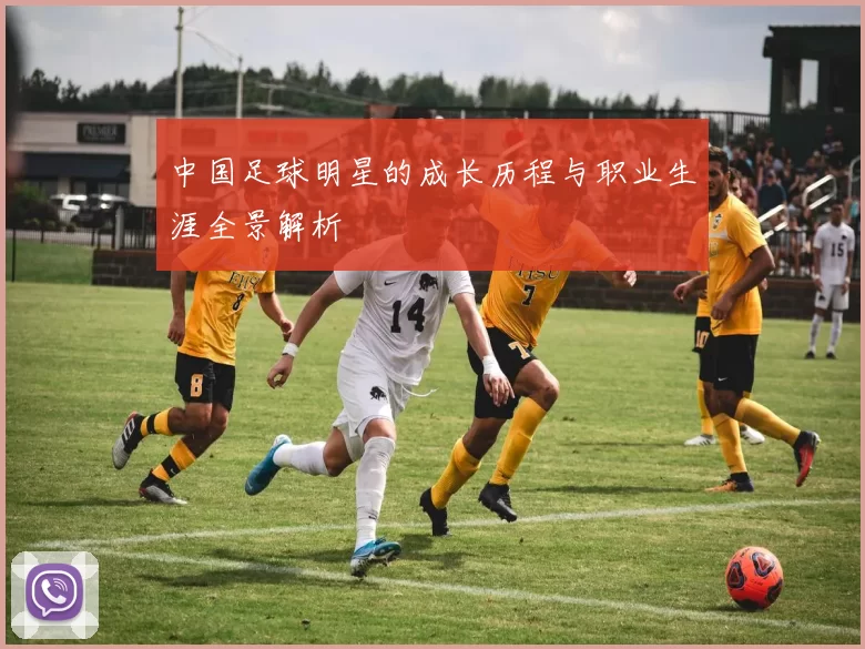 中国足球明星的成长历程与职业生涯全景解析