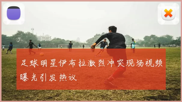 足球明星伊布拉激烈冲突现场视频曝光引发热议